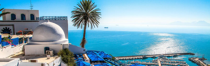 Африка. Тунис. Тунис.