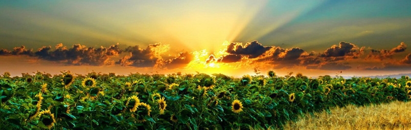 Щоб лани широкополі, і Дніпро, і кручі, Стали вам поперек горла москалі %бучі.